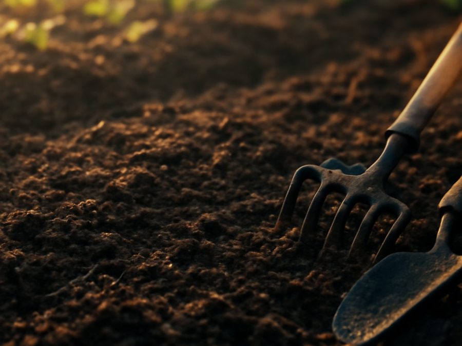 Break Up Hard Garden Soil pentru o creștere mai bună a plantelor de primăvară
